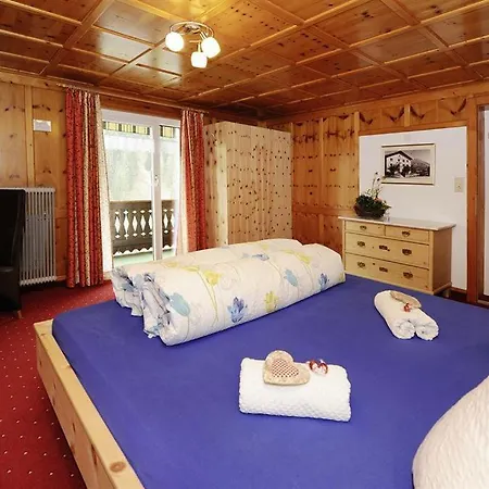 Alpenhaus Netzer Apartment *