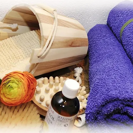 Alpenhaus Netzer Appartamento *