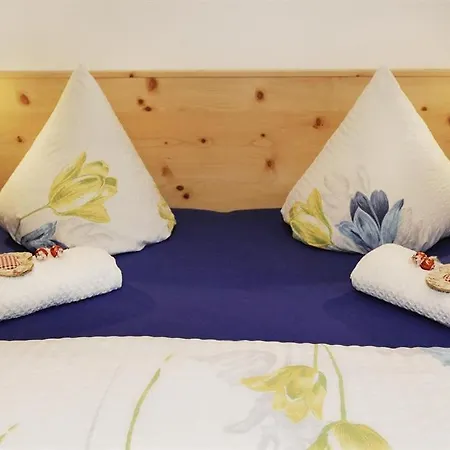 Alpenhaus Netzer * Sankt Gallenkirch